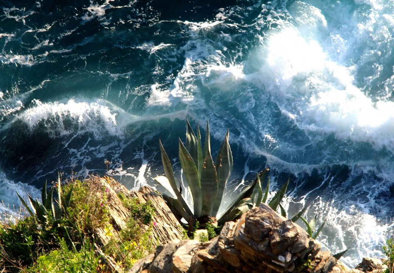 Appartamento a Manarola - La Lampara Sea View Terrace Apartment with AC