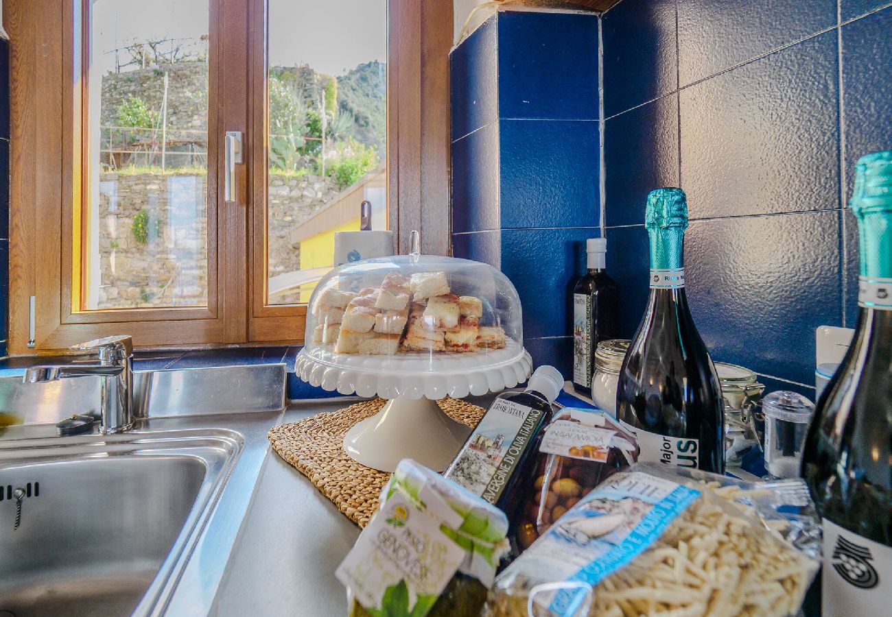 Appartamento a Manarola - La Lampara Sea View Terrace Apartment with AC