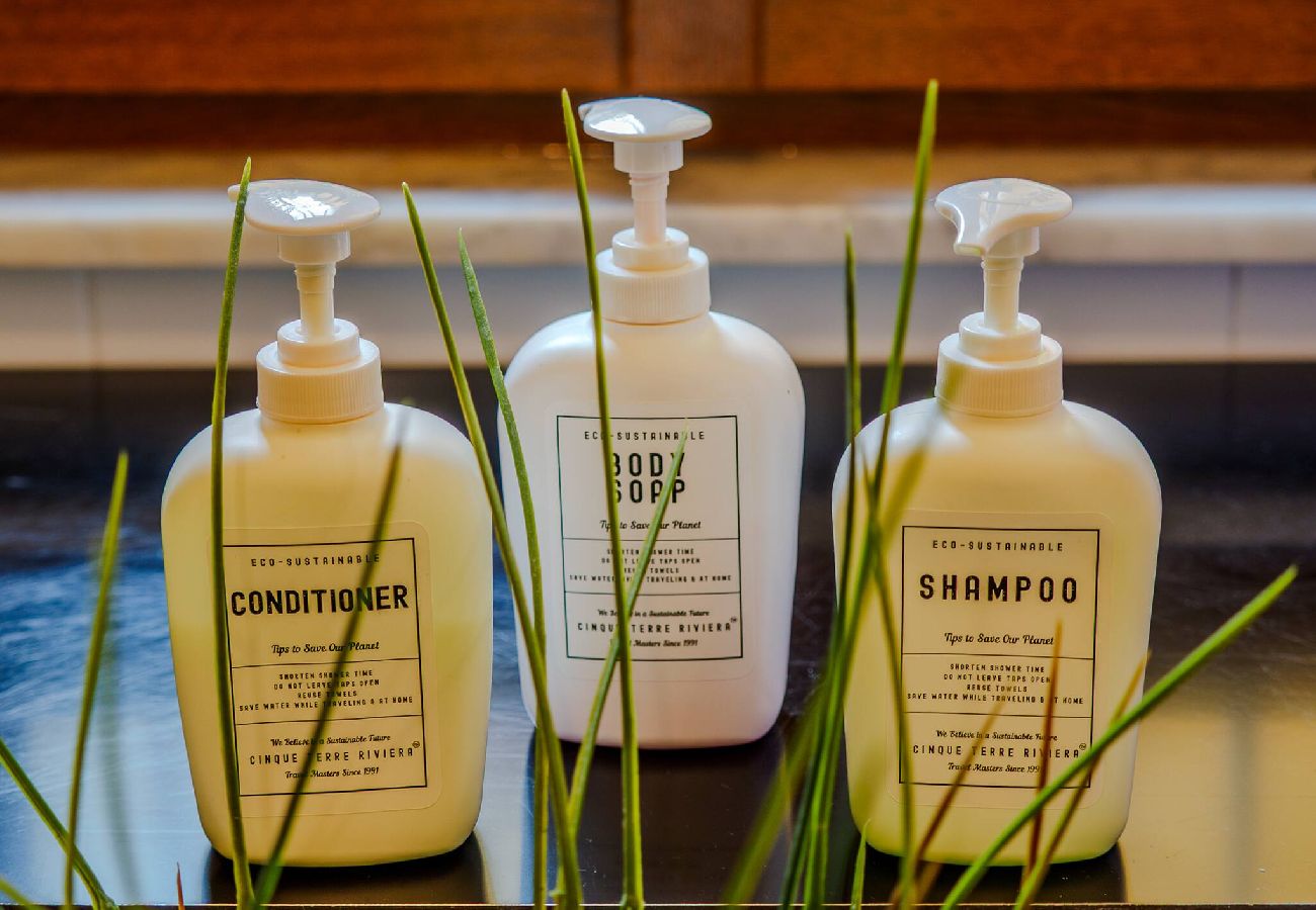 Appartamento a Manarola - La Lampara Sea View Terrace Apartment with AC