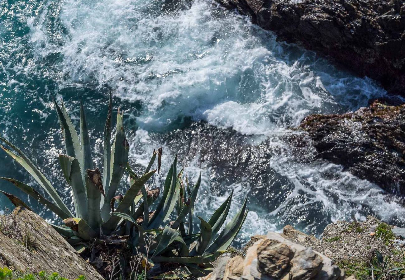 Appartamento a Manarola - La Lampara Sea View Terrace Apartment with AC