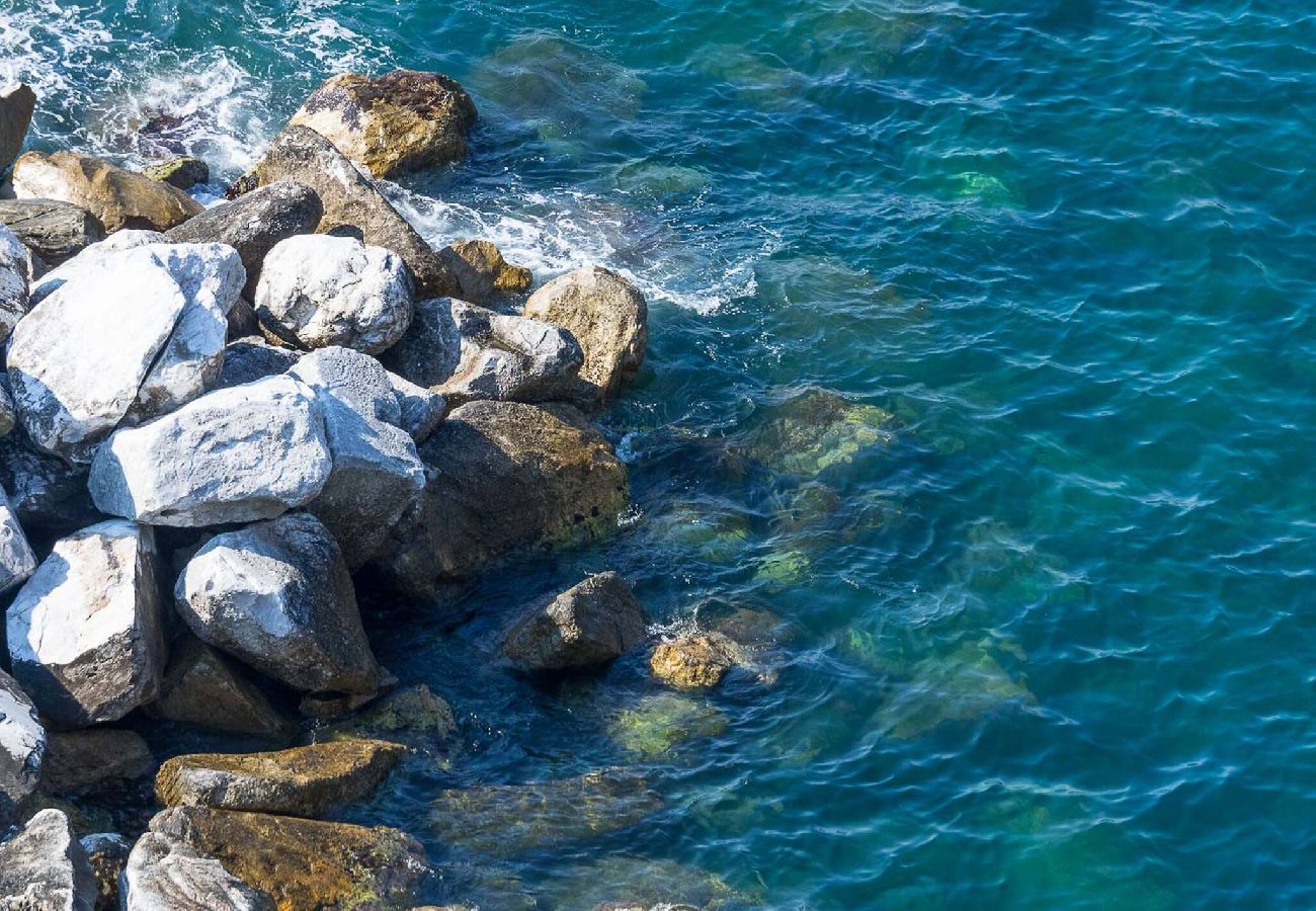 Appartamento a Manarola - La Lampara Sea View Terrace Apartment with AC
