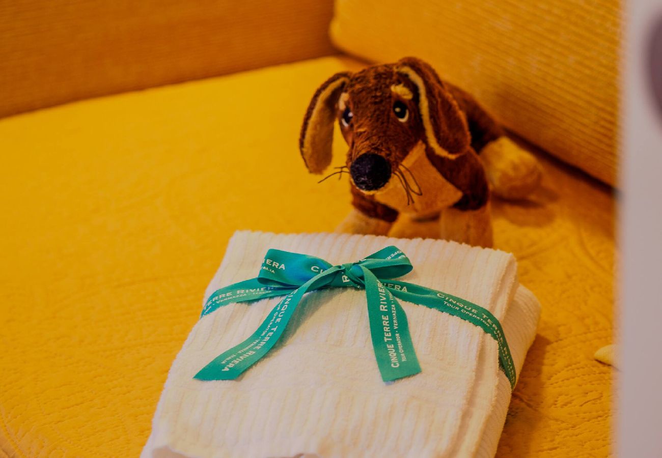 Appartamento a Vernazza - La Maison de la Mer with Terrace and AC