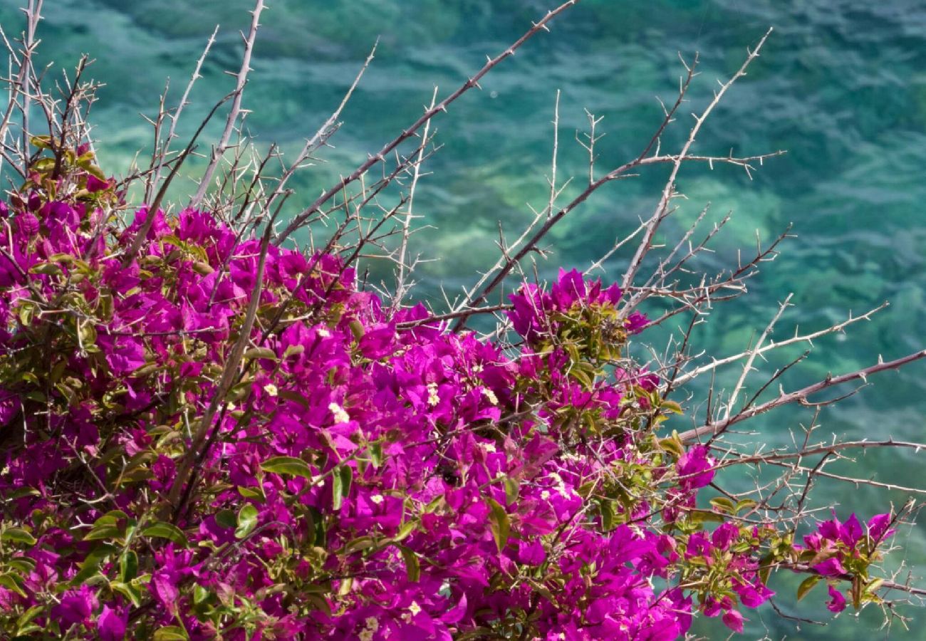 Casa a Vernazza - Refilea Sea View Tower Villa