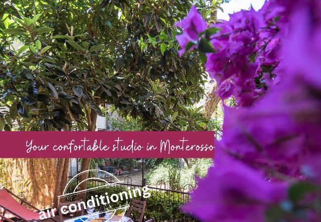 Appartamento a Monterosso al Mare - Il Giardino di Ada Ground Floor Studio with AC