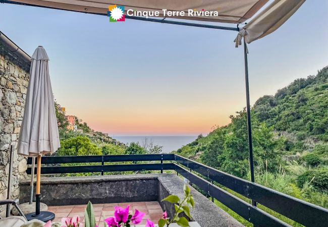 Villa a Corniglia - Villa Il Frantoio Terra Rossa
