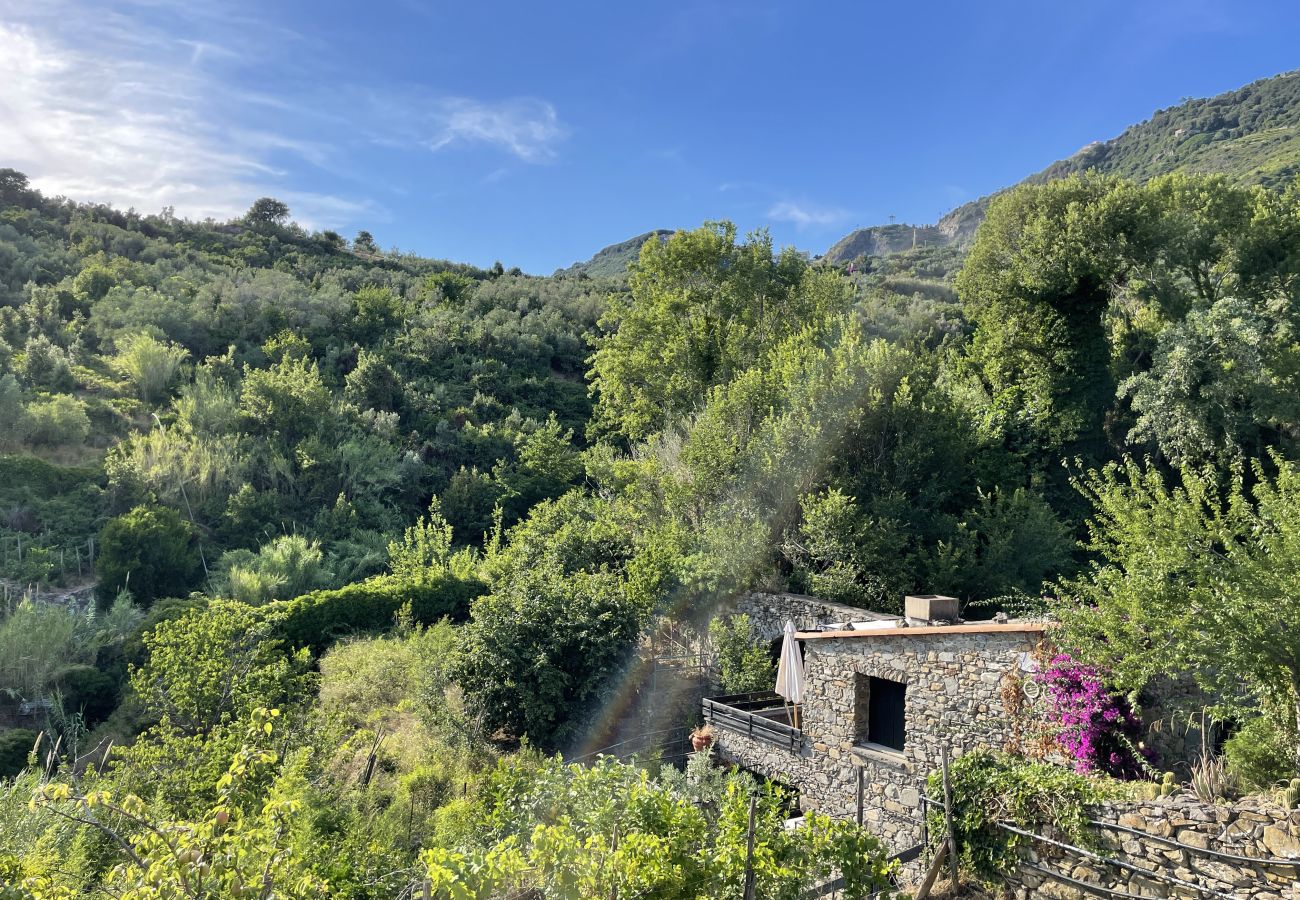 Villa a Corniglia - Villa Il Frantoio Terra Rossa