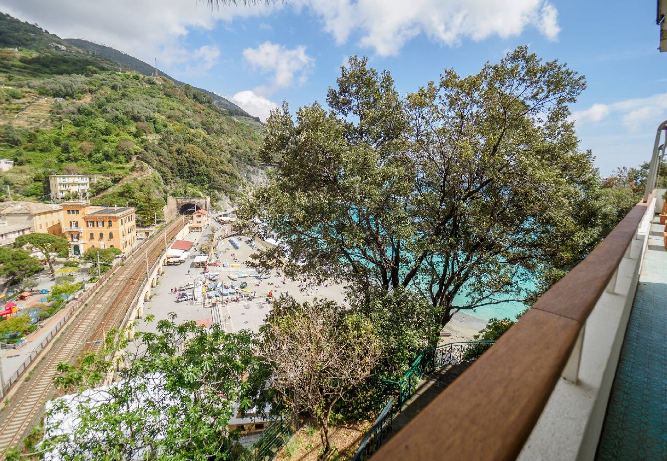 Villa in Monterosso al Mare - Villa Tanca with AC, Terrace & Views