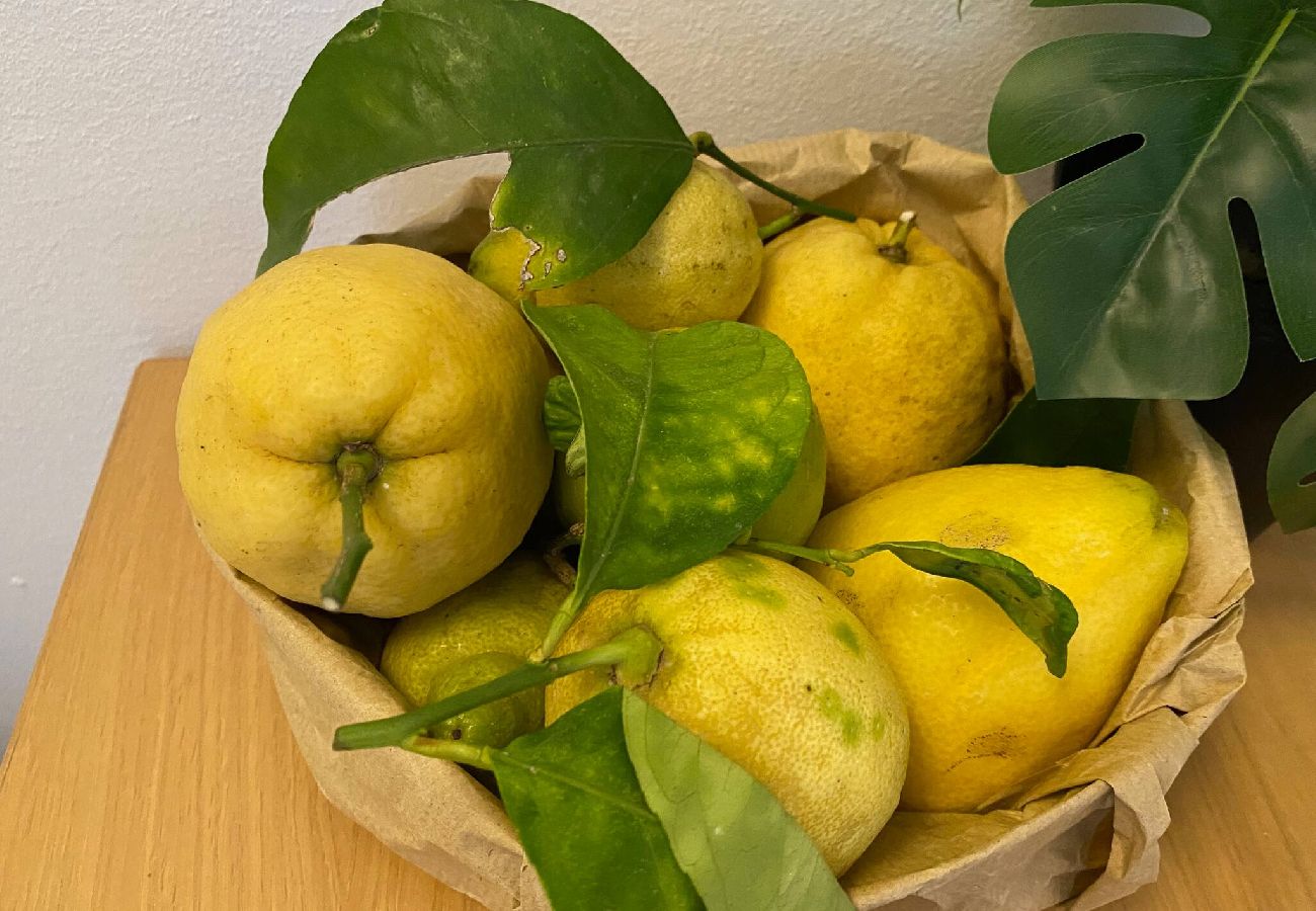 Ferienwohnung in Monterosso al Mare - Fetta di Limone Apartment with AC and Patio