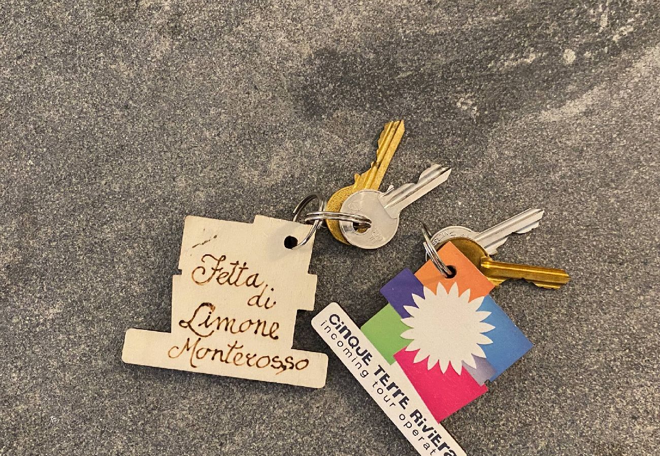 Ferienwohnung in Monterosso al Mare - Fetta di Limone Apartment with AC and Patio