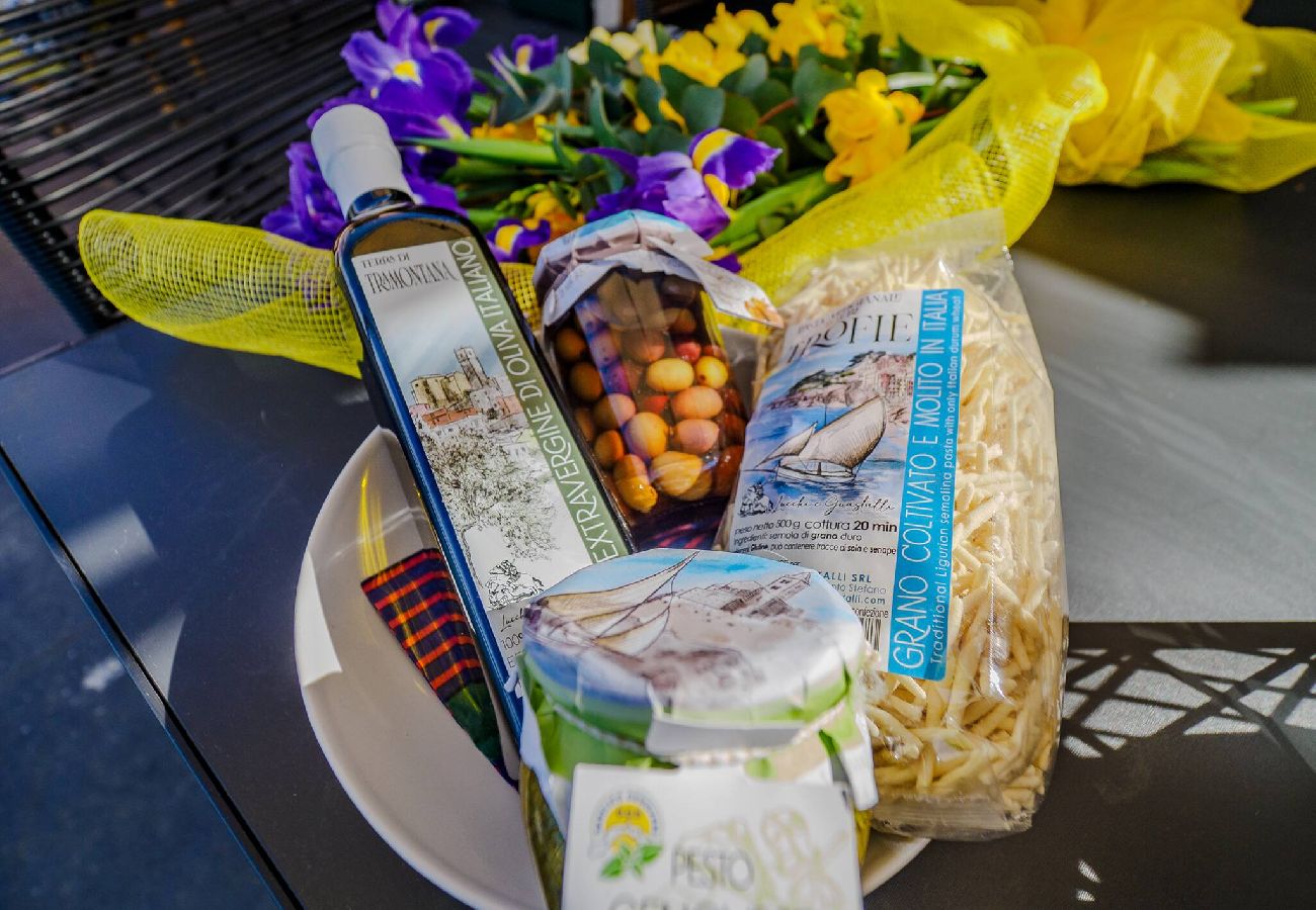 Ferienwohnung in Manarola - La Lampara Sea View Terrace Apartment with AC