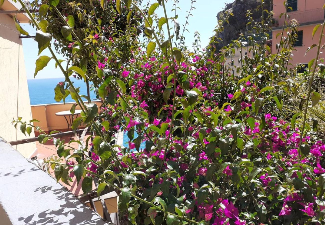 Ferienwohnung in Manarola - Il Sogno di Beatrice Luxury Apartment with Views