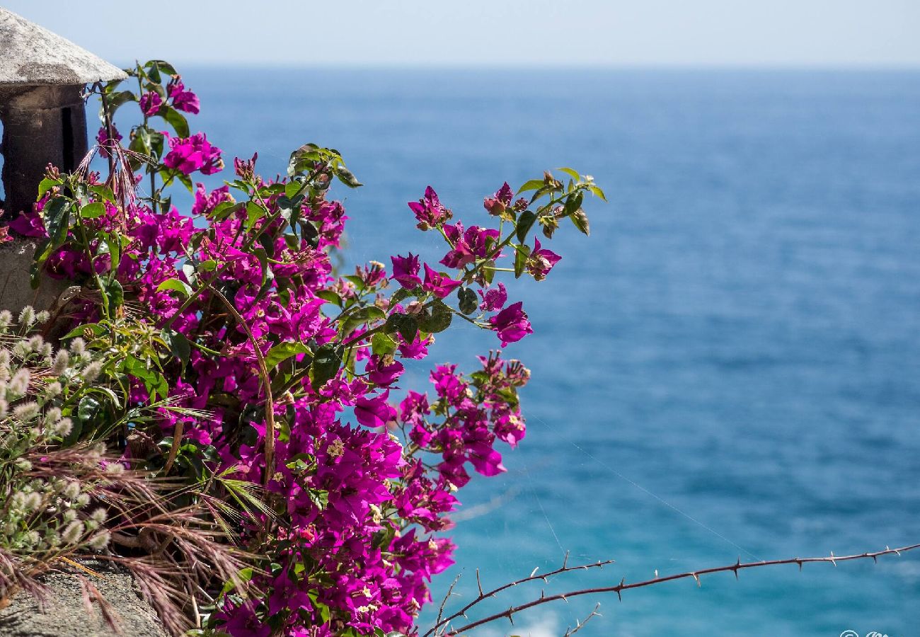 Ferienhaus in Vernazza - Refilea Sea View Tower Villa