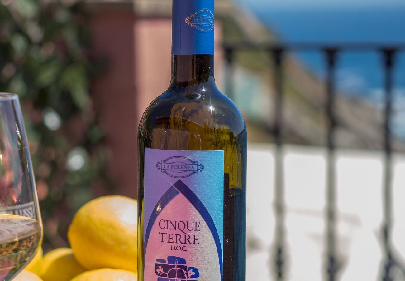 Ferienhaus in Vernazza - Refilea Sea View Tower Villa