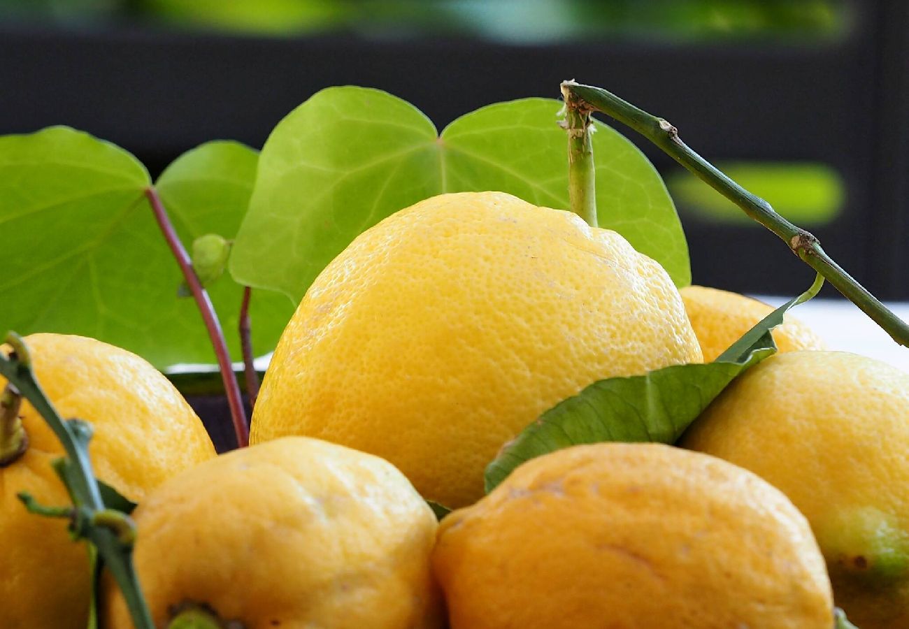 Ferienwohnung in Monterosso al Mare - Villa La Pavona Luxury Collection