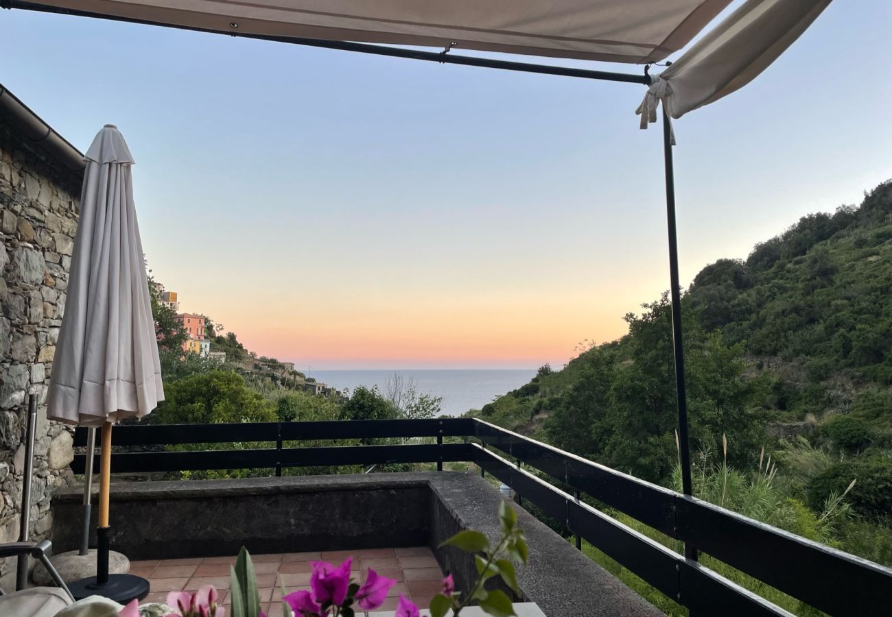 Villa in Corniglia - Villa Il Frantoio Terra Rossa