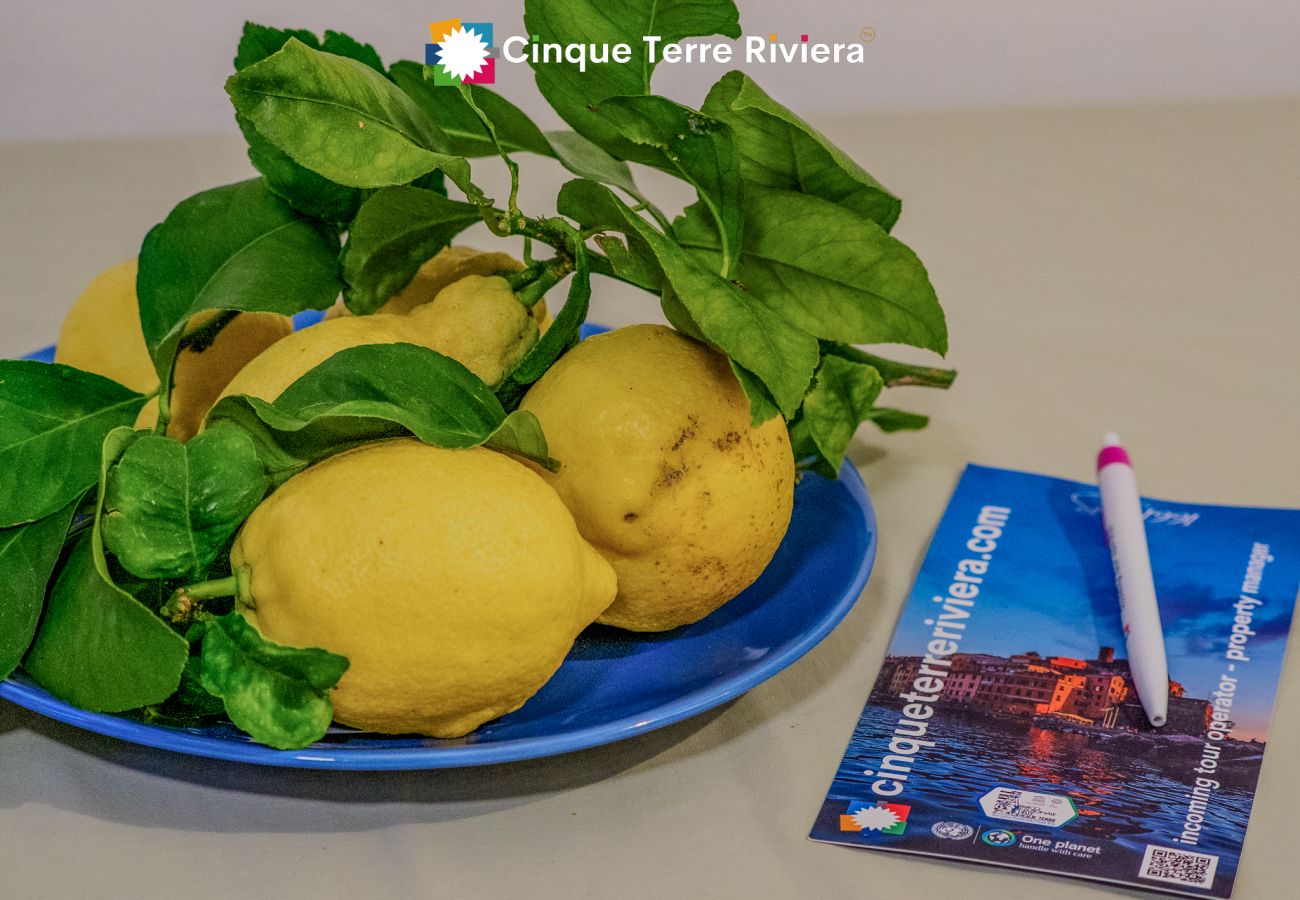 Apartment in Vernazza - Casa Pina Family Apartment