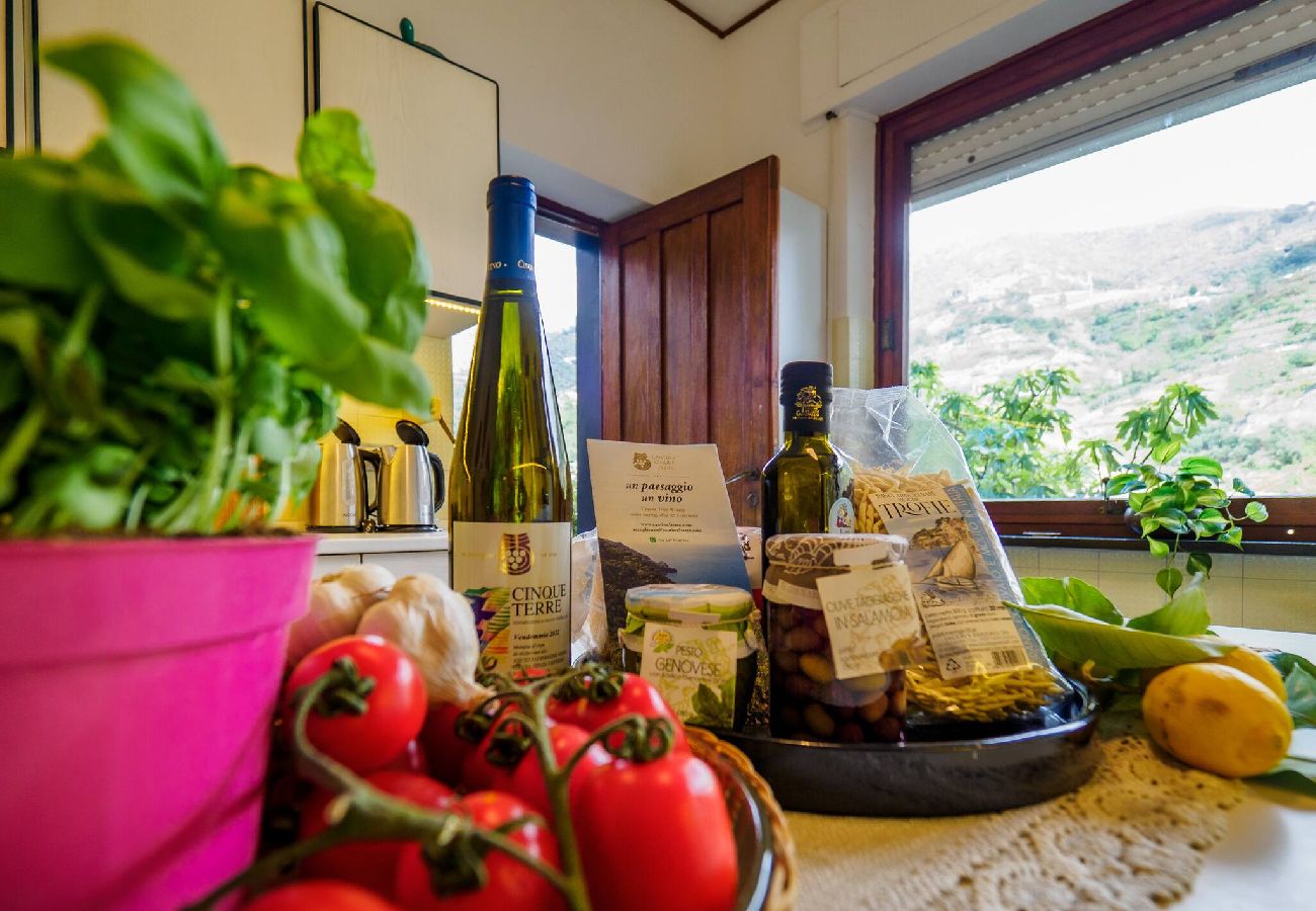 Villa in Monterosso al Mare - Villa Tanca with AC, Terrace & Views