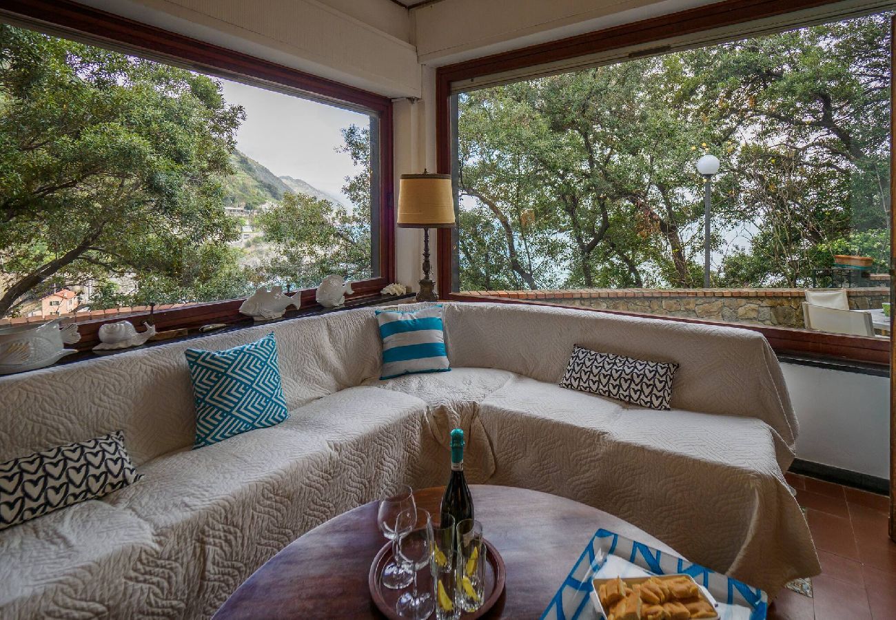 Villa in Monterosso al Mare - Villa Tanca with AC, Terrace & Views