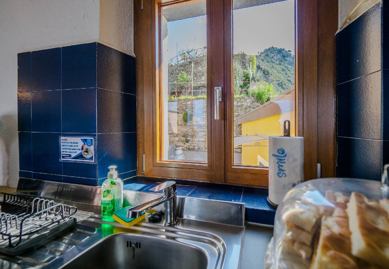 Apartment in Manarola - La Lampara Sea View Terrace Apartment with AC