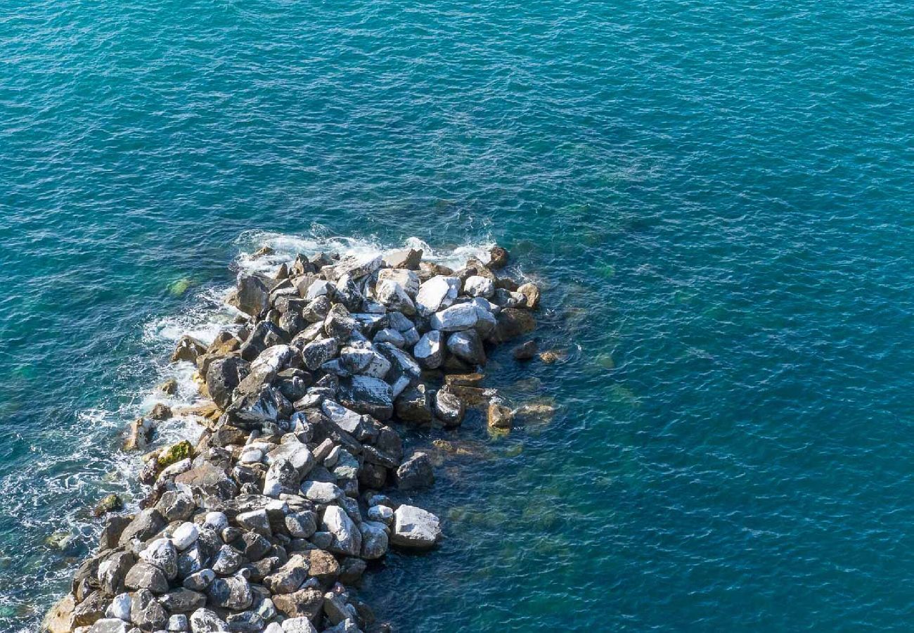 Apartment in Manarola - La Lampara Sea View Terrace Apartment with AC