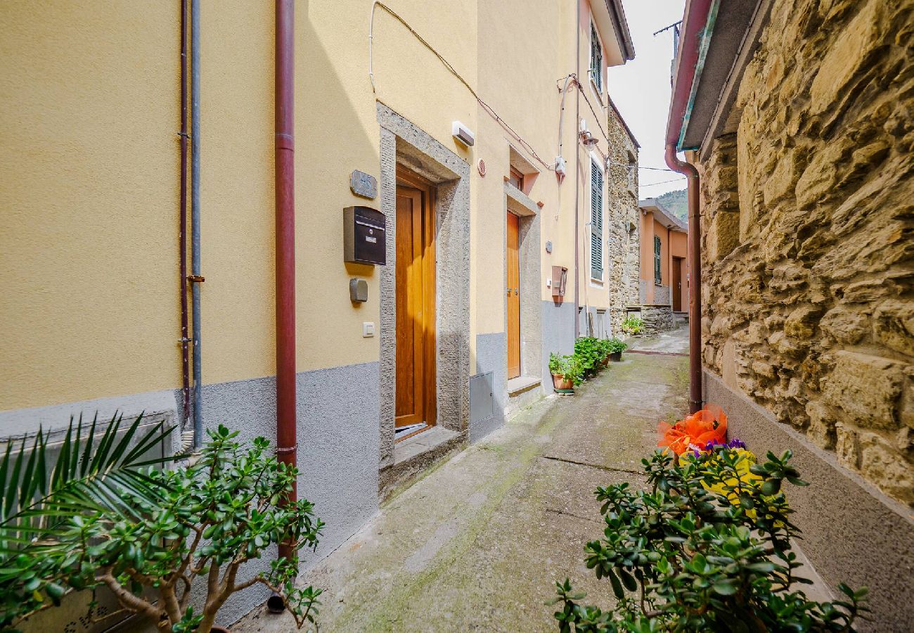 Apartment in Manarola - La Lampara Sea View Terrace Apartment with AC