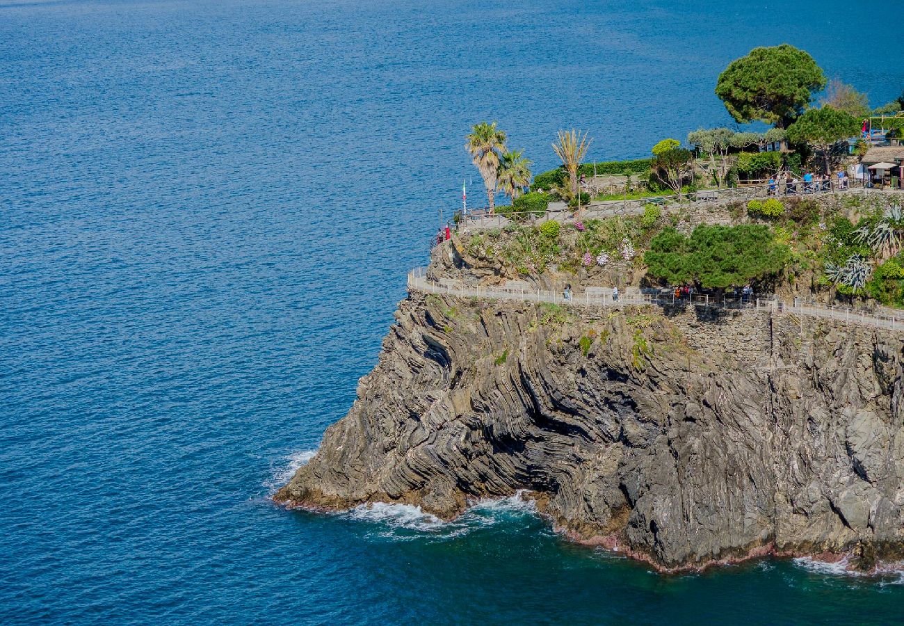 Apartment in Manarola - La Lampara Sea View Terrace Apartment with AC