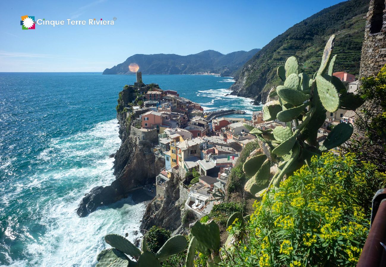 House in Vernazza - Muin a Ventu Historical Tower