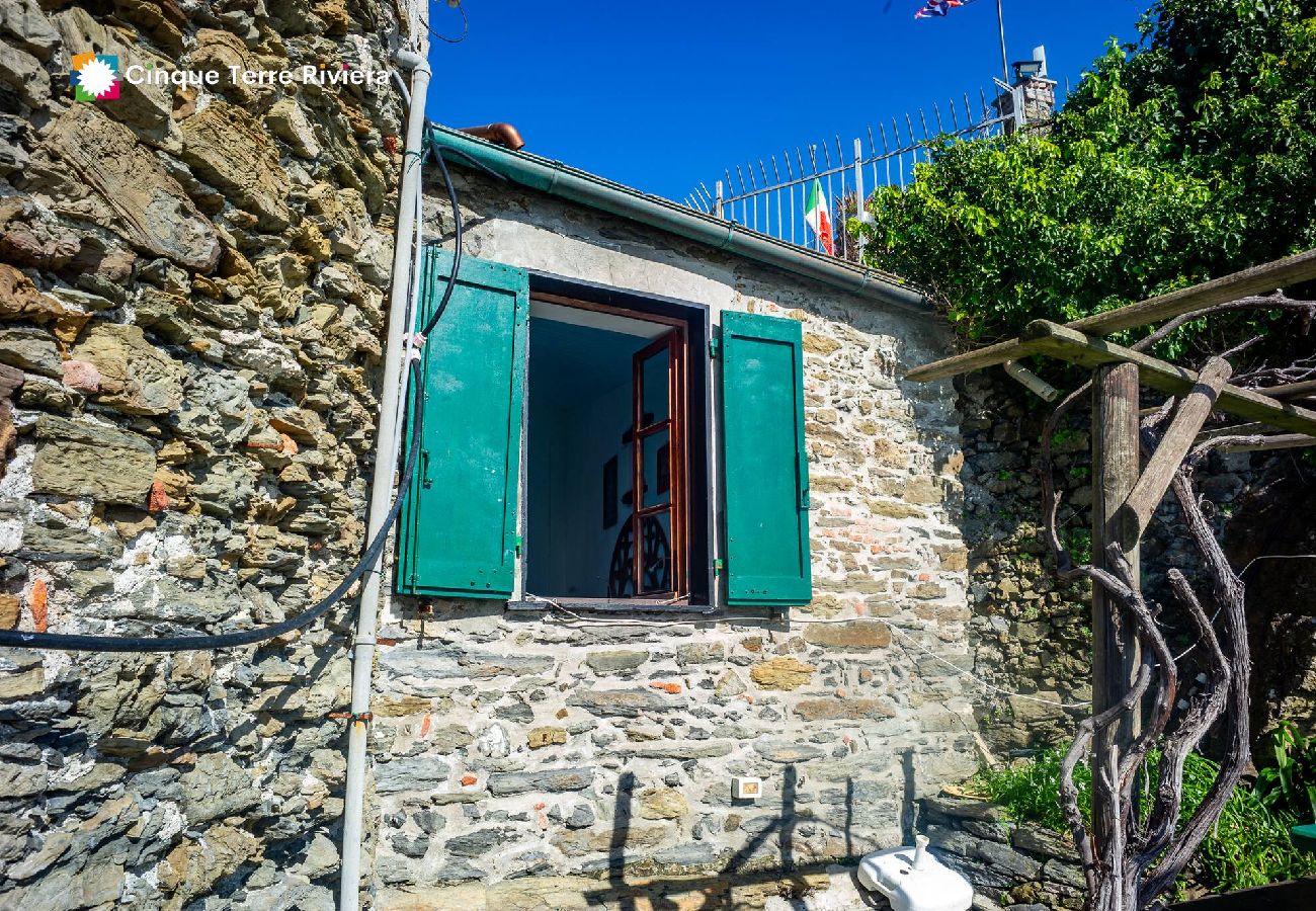 House in Vernazza - Muin a Ventu Historical Tower