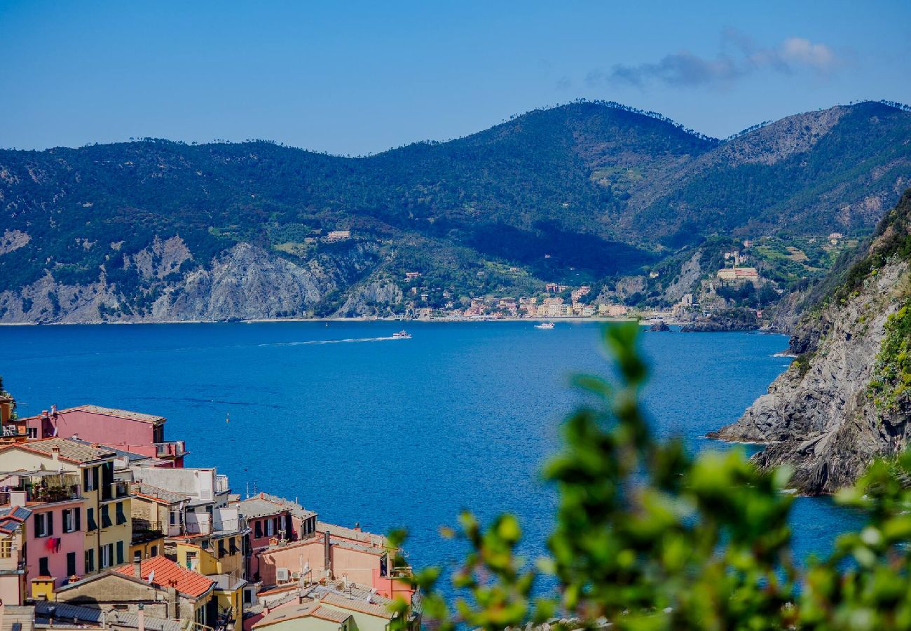 House in Vernazza - Muin a Ventu Historical Tower