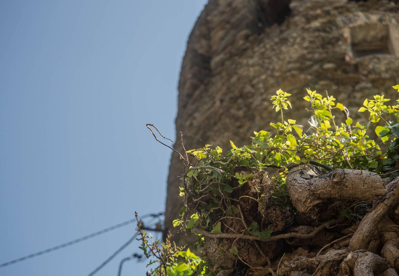 House in Vernazza - Muin a Ventu Historical Tower