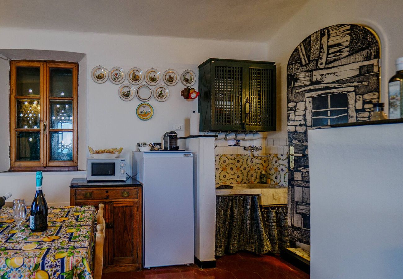 House in Vernazza - Muin a Ventu Historical Tower