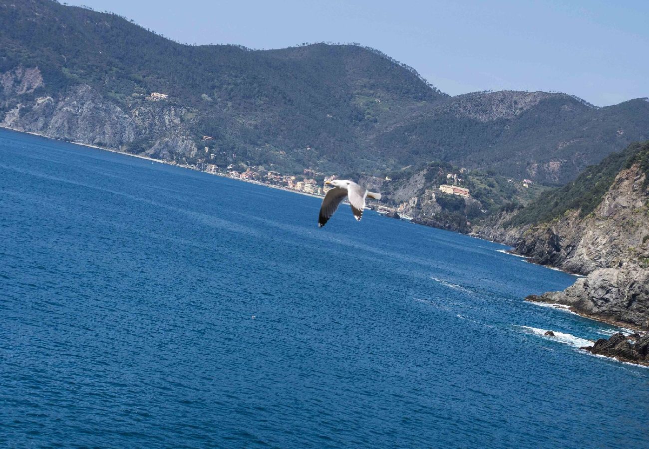 Apartment in Vernazza - Ventegà Sea View Apartment with Balcony