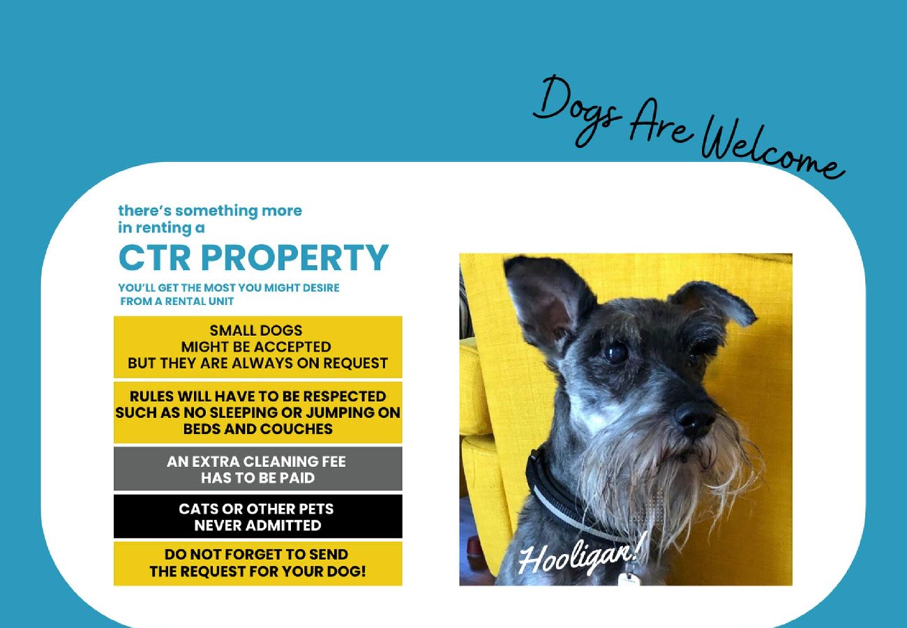 Apartment in Vernazza - Petrella´s Point Studio with AC