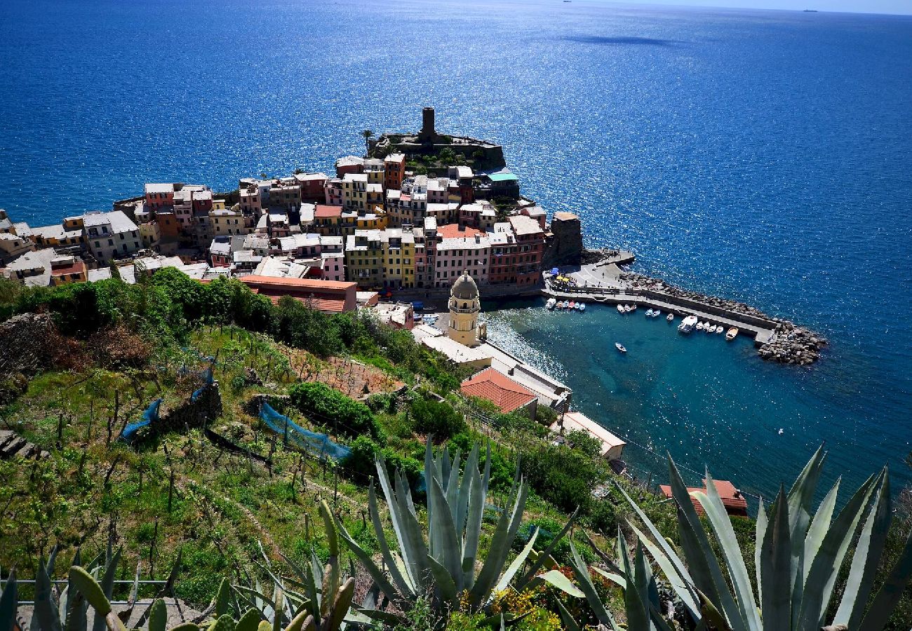 Apartamento en Vernazza - Nonna Rosetta Traditional Studio