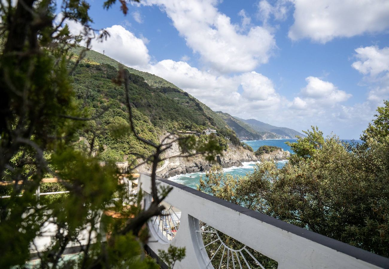 Villa en Monterosso al Mare - Villa Tanca with AC, Terrace & Views