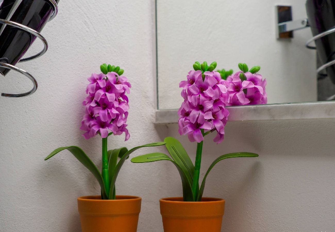 Alquiler por habitaciones en Vernazza - Carmelina Tiny Village Room