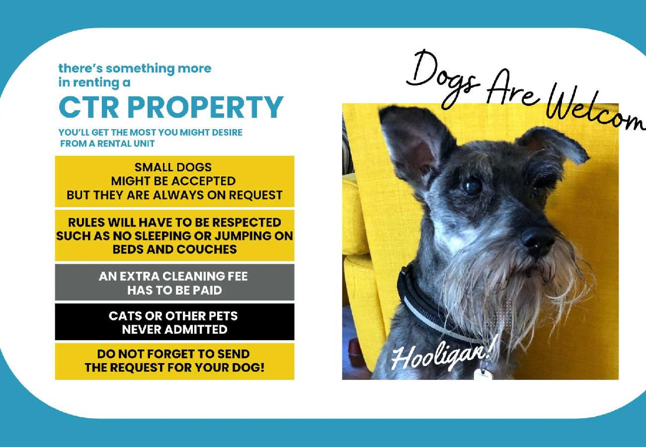 Apartamento en Monterosso al Mare - Picabon Quiet Apartment with AC & Balcony