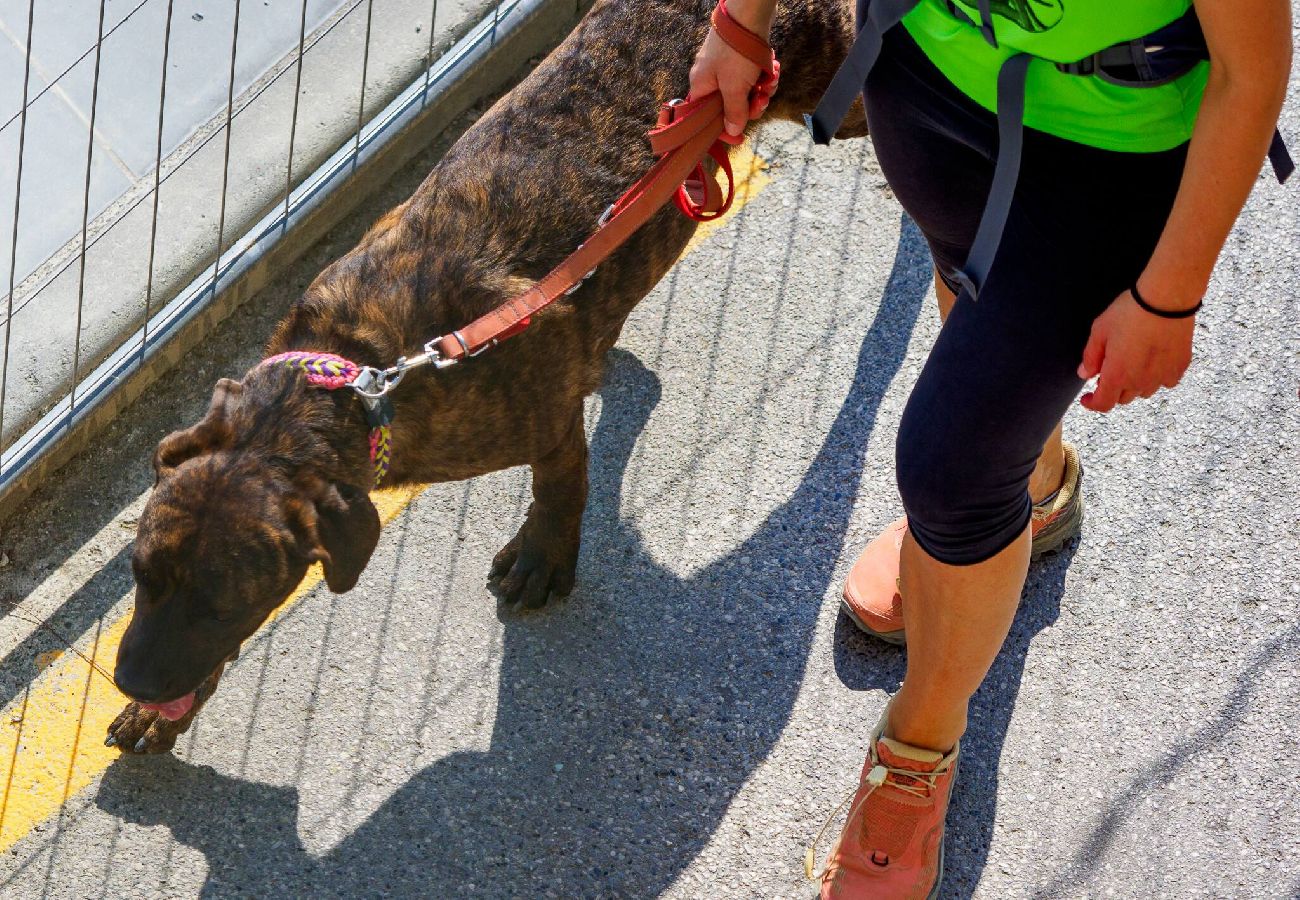 Appartement à Monterosso al Mare - Giaella Sea View Apartment