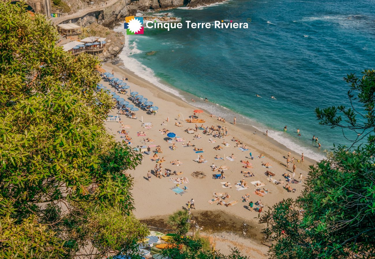 Villa à Monterosso al Mare - Villa Tanca with AC, Terrace & Views