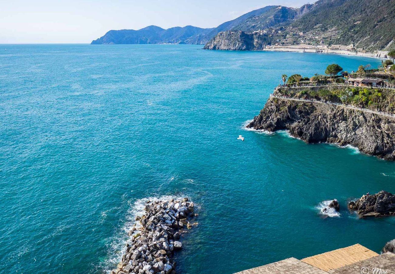 Appartement à Manarola - La Lampara Sea View Terrace Apartment with AC