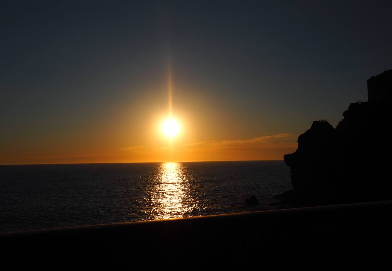 Appartement à Manarola - La Lampara Sea View Terrace Apartment with AC