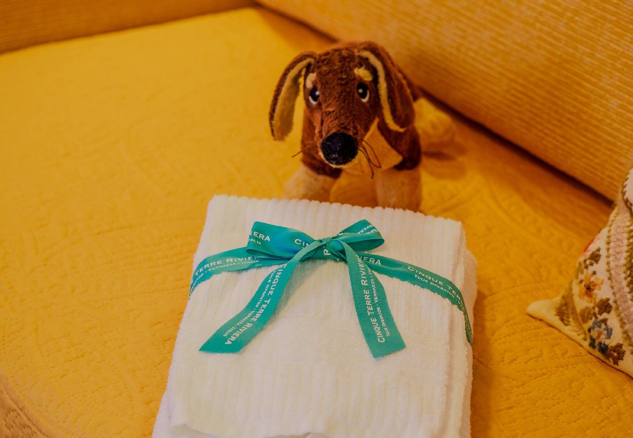 Appartement à Vernazza - La Maison de la Mer with Terrace and AC