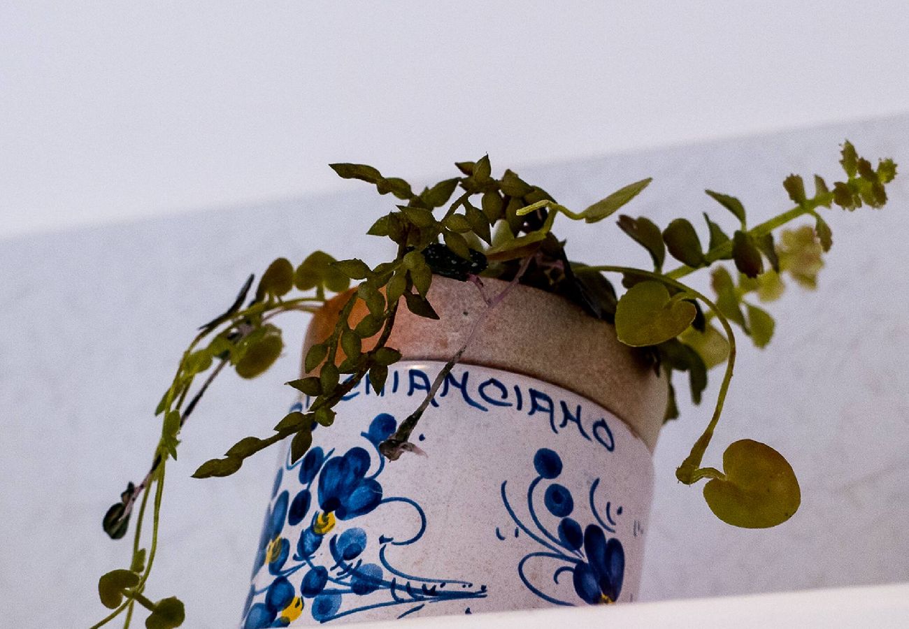 Appartement à Vernazza - Recanissu Apartment with Balcony & AC