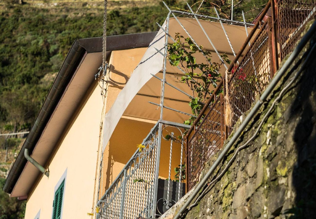 Maison à Manarola - Liersena Sea View Mini Villa with AC