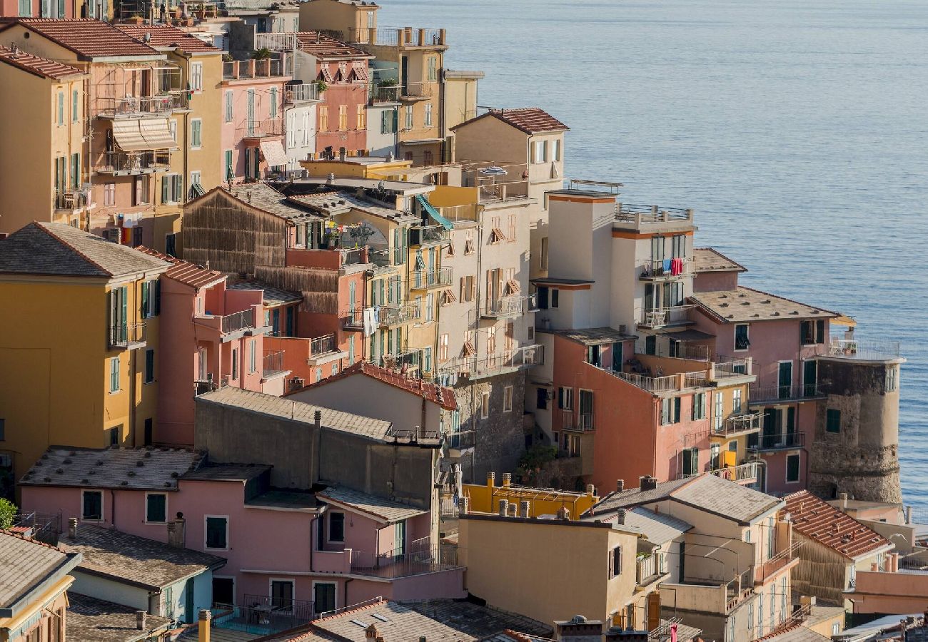 Maison à Manarola - Liersena Sea View Mini Villa with AC