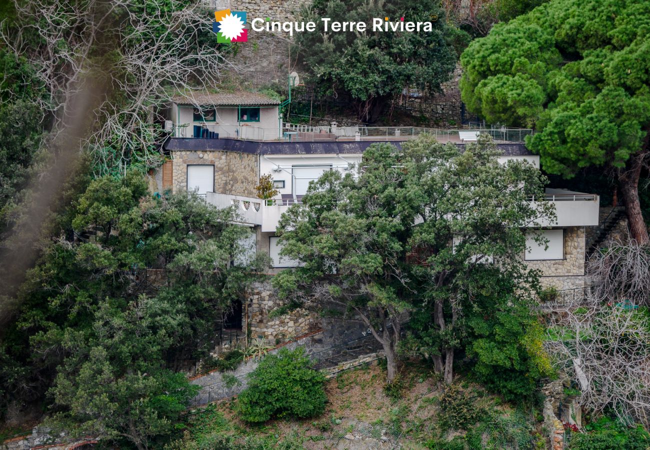 Villa em Monterosso al Mare - Villa Tanca with AC, Terrace & Views