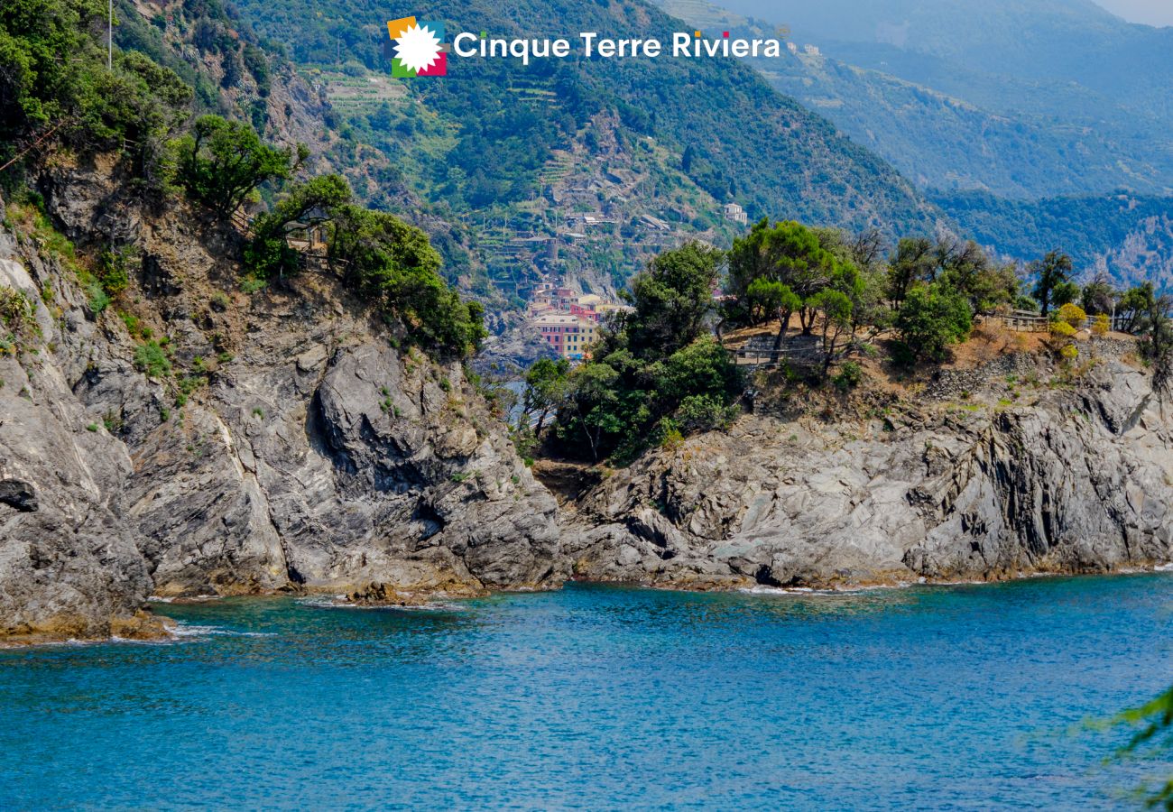 Villa em Monterosso al Mare - Villa Tanca with AC, Terrace & Views