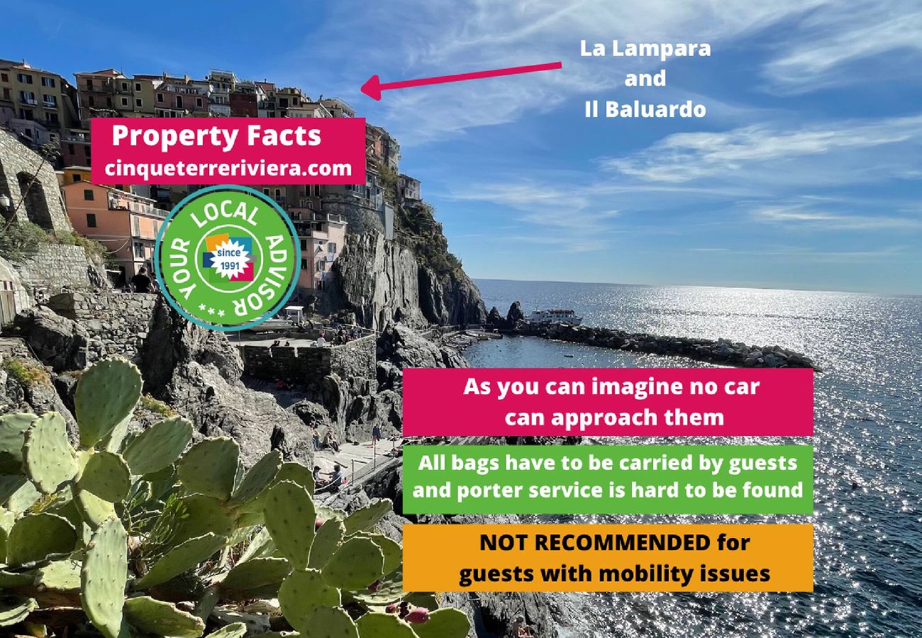 Apartamento em Manarola - La Lampara Sea View Terrace Apartment with AC
